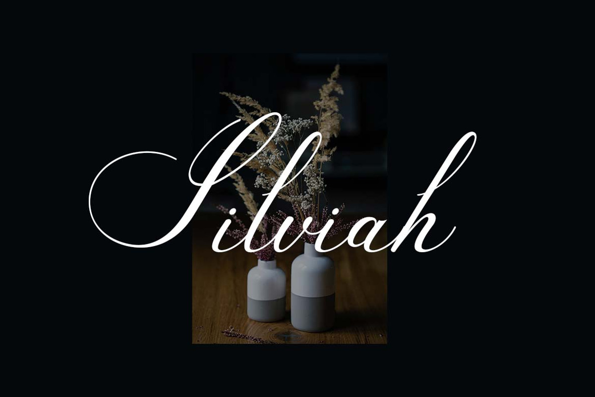 Aurelia Marcelina Modern Calligraphy, a Handwritten Font by UICreative (Photo 8 of 13)
