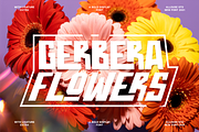 Throostle a Bold Display Font Family, a Sans Serif Font by Allouse Studio (Thumbnail 4 of 10)
