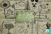 Botany Book Digi Stamps PNGs, an Object Graphic by Emily Designs (Thumbnail 1 of 5)