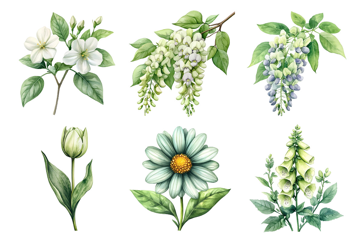 Watercolor Sage Floral Clipart, an Illustration by Daily.Designs (Photo 3 of 5)