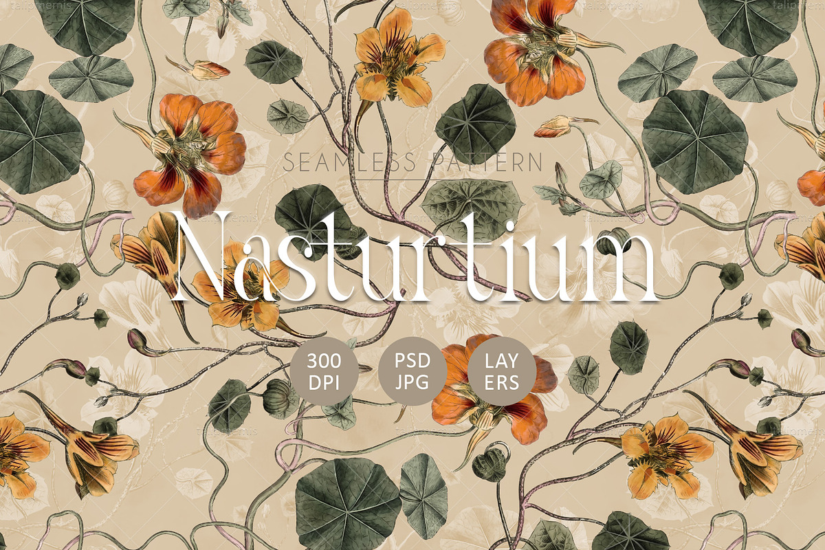 Vintage Nasturtium Floral Seamless, a Pattern Graphic by Talip Memis (Photo 1 of 10)