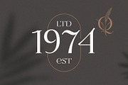 Letterature ligature serif font, a Serif Font by kaer_shop (Thumbnail 10 of 12)