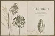 Hand-Pressed Botanical Imprints, an Object Graphic by alonahaidash (Thumbnail 13 of 13)