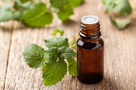 Mint essential oil featuring oil, mint, and medicine, a Health & Medical Photo by natashamam