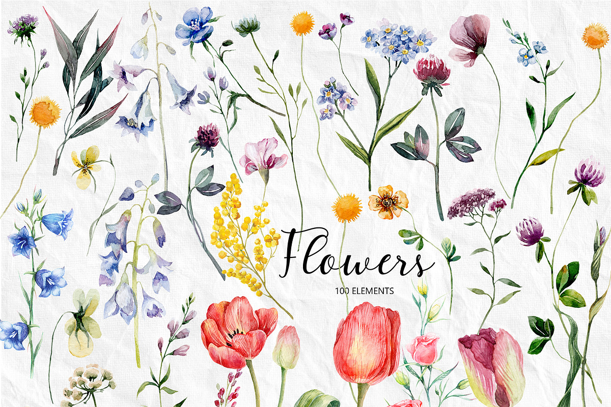Set of watercolor flowers, a Decorative Illustration by RushkinaAntonina (Photo 9 of 11)