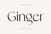 Ginger - Modern Stylish Font, a Sans Serif Font by Sensatype (Thumbnail 1 of 20)