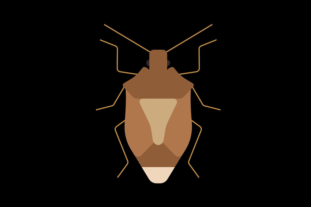 Brown Plant Bug Insect, a Solid Icon by Buqancreative (Photo 2 of 2)