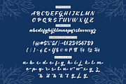 Fiolyta - Script Font, a Script Font by agnyhasyastudio (Thumbnail 9 of 9)