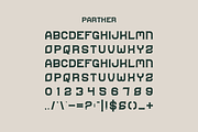 Parther- Vintage Font, a Serif Font by Iqsiart Studio (Thumbnail 2 of 7)