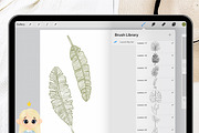 36 Leaf Procreate Stamp Brush, a Brush Add-On by Natalya_Mona_Art (Thumbnail 4 of 9)