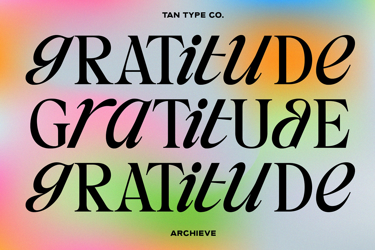 TAN - ARCHIEVE, a Serif Font by TanType (Photo 9 of 11)