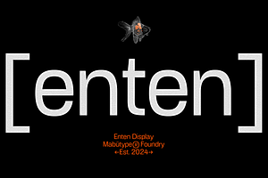 Enten - Display Typeface