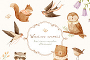 Charming meadow - woodland clipart, a Decorative Illustration by polikarpovaart (Thumbnail 4 of 30)