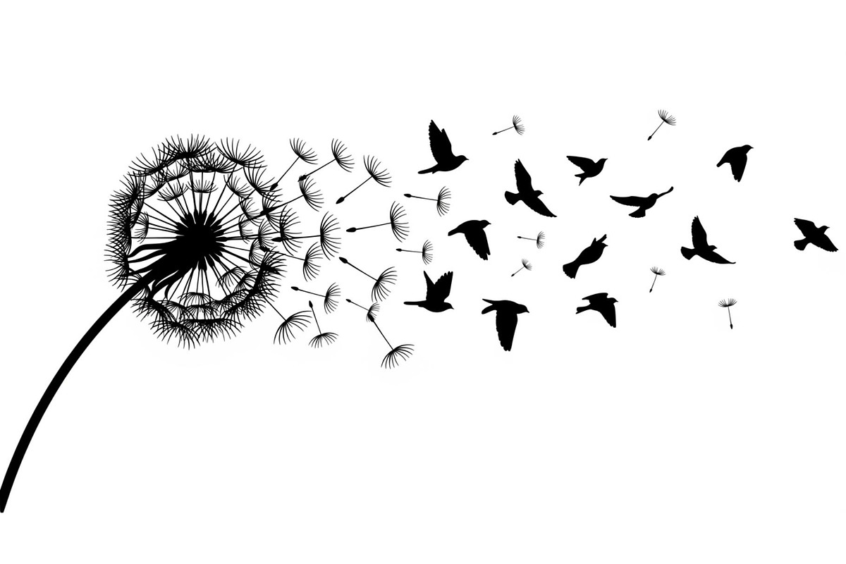 Dandelion Blow Silhouette Bundle, an Illustration by yasushie (Photo 16 of 31)