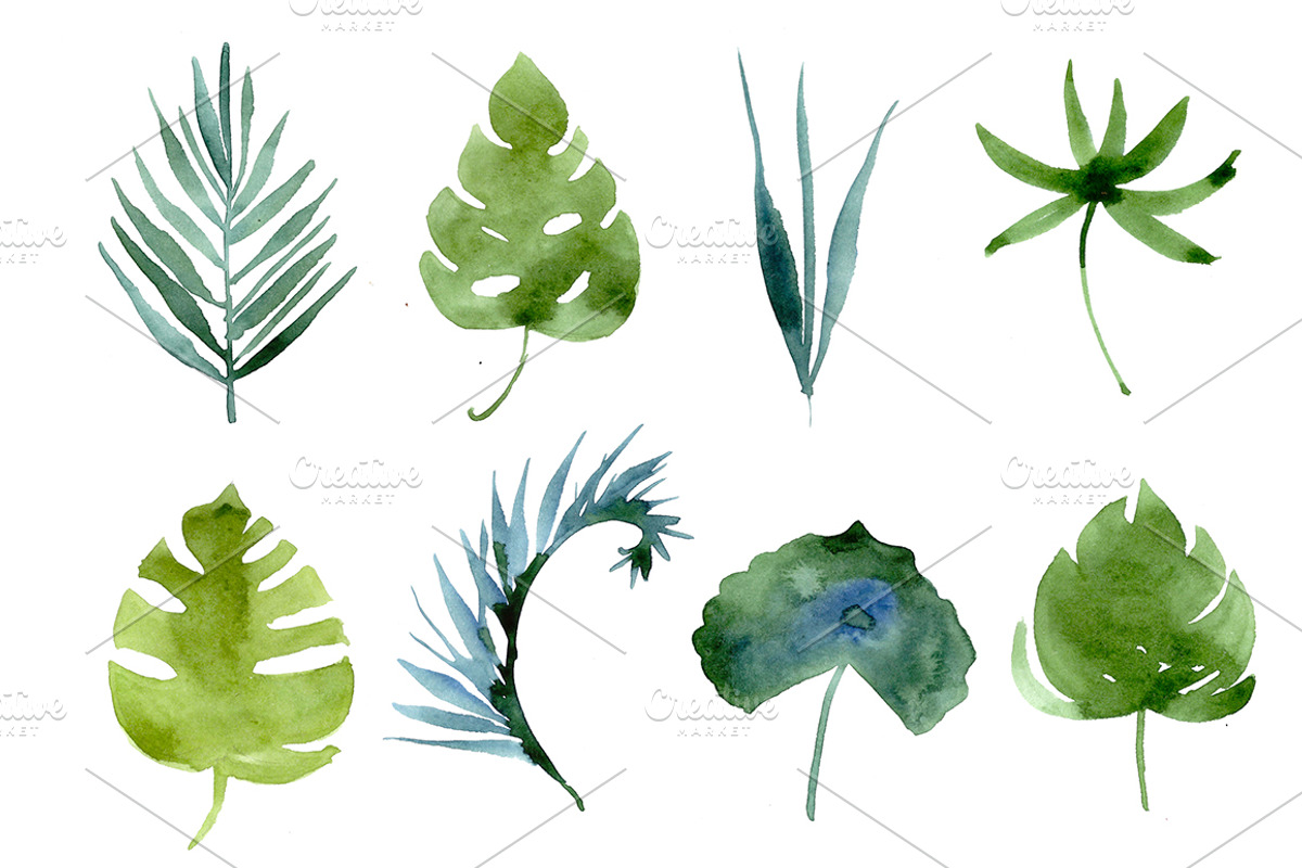 watercolor tropical leaves, patterns, an Illustration by Olesya Morokhovets (Photo 1 of 11)