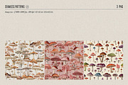 Fungi - botanical illustrations, an Object Graphic by AI Crafted Magnolia (Thumbnail 8 of 13)