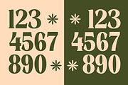 Rusty Drake Bold Serif Display, a Serif Font by timelesstype.co (Thumbnail 13 of 20)