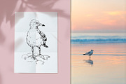 Sea gull. Hand-drawn sketch, an Illustration by Canatic (Thumbnail 2 of 5)