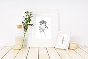 Wild flowers,herbs,herbaceous plants, a Texture Illustration by Good Studio (Thumbnail 17 of 22)