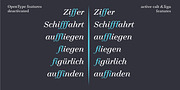Legit Didone, a Serif Font by Finaltype (Thumbnail 5 of 13)