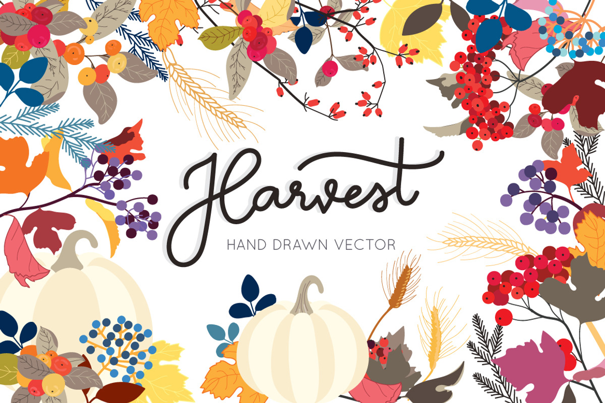 Harvest hand drawn in Fall / Autumn, a Decorative Illustration by MooBeer (Photo 1 of 5)