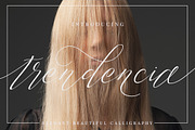 Trendencia Script, a Script Font by Dirtyline Studio (Thumbnail 1 of 10)