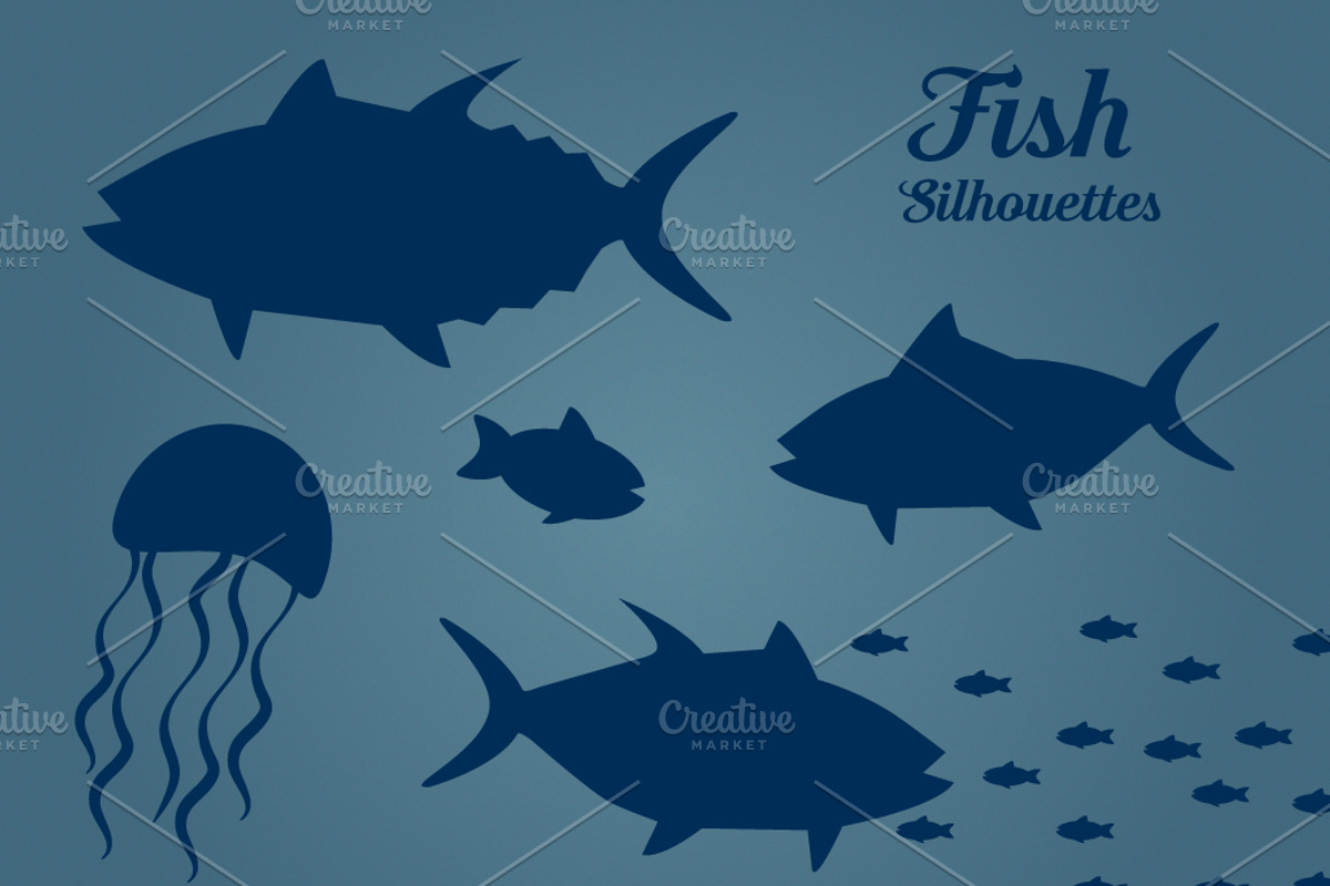 Fish Silhouettes, an Education Illustration by Ashe Green Design
