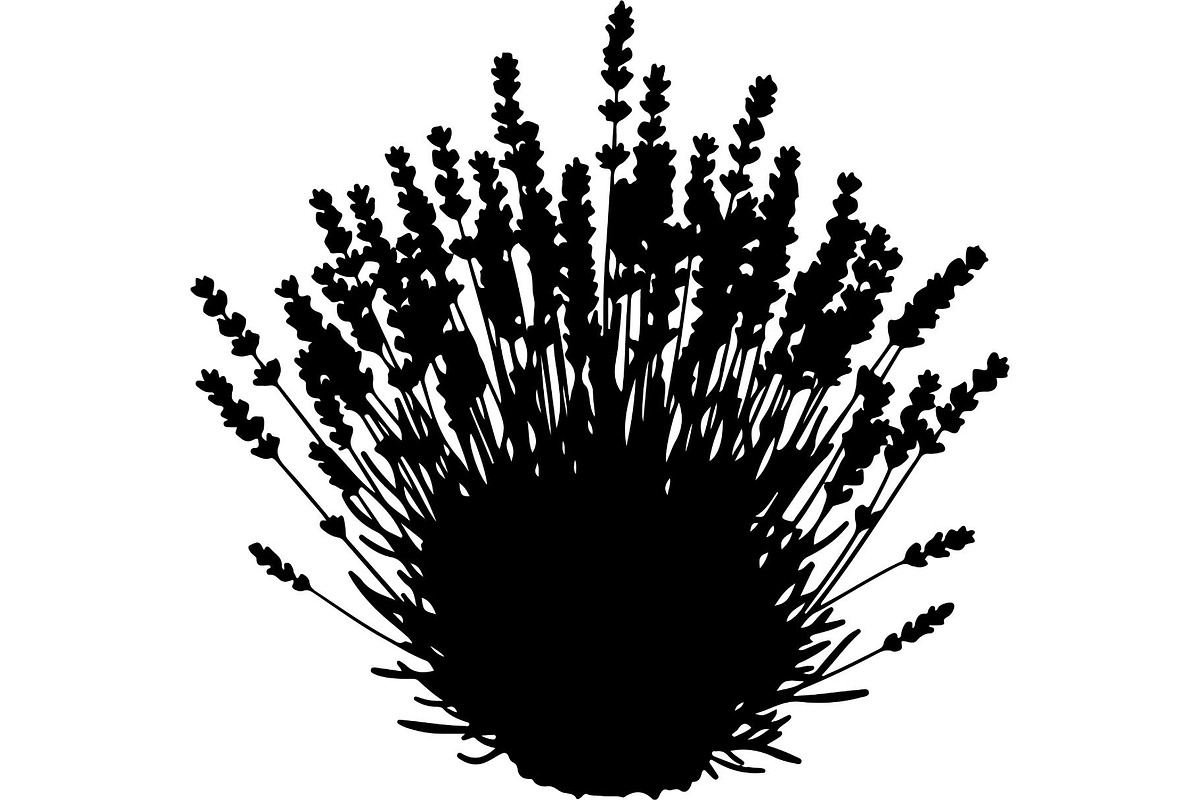 Lavender Flower Silhouette, an Object Graphic by Designer_Momina (Photo 4 of 20)