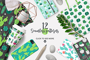 Cactus Kit, a Texture Illustration by miumiu (Thumbnail 5 of 8)