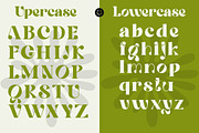 Quowist Display - Modern Unique Seri, a Serif Font by Afkari Studio (Thumbnail 5 of 10)
