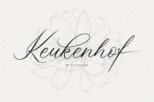 Keukenhof Modern Calligraphy Font