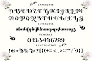 Baile Guneta, a Script Font by TM Type (Thumbnail 8 of 10)