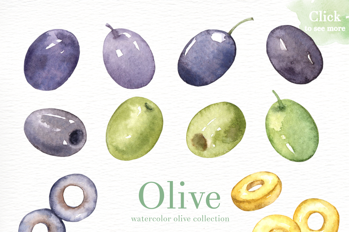 Olive Watercolor clipart, an Illustration by everysunsun (Photo 3 of 4)