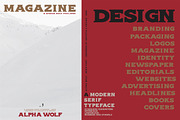 Alpha wolf - Serif font, a Serif Font by Artistic & Unique (Thumbnail 9 of 12)