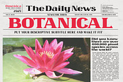 Omenica - Serif font Family, a Serif Font by Artistic & Unique (Thumbnail 4 of 12)