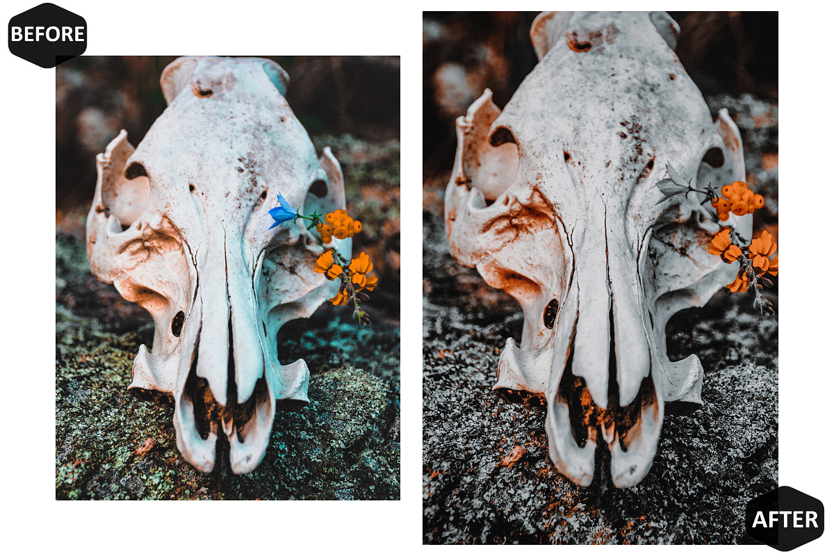 12 Day of the Dead Photoshop Actions, an Action Add-On by Hue Palettte Studio (Photo 7 of 10)