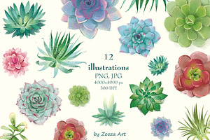 Succulents: 12 Images, 6 Patterns