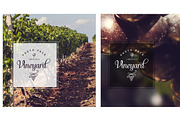 Vineyard photo pack, a Nature Photo by outlinez (Thumbnail 3 of 3)