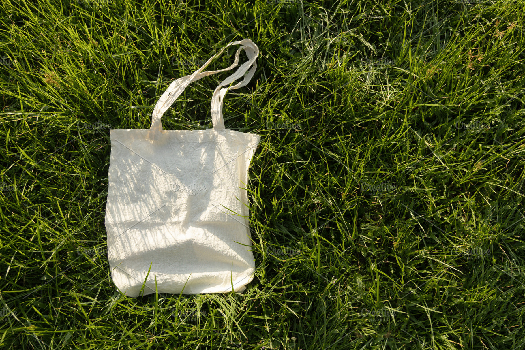 Blank reusable tote bag on green grass in sunlight ,sustainable, a Photo by salmon.black