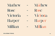 Elegant Ligature Serif Font, a Serif Font by Bekeen.co (Thumbnail 8 of 10)