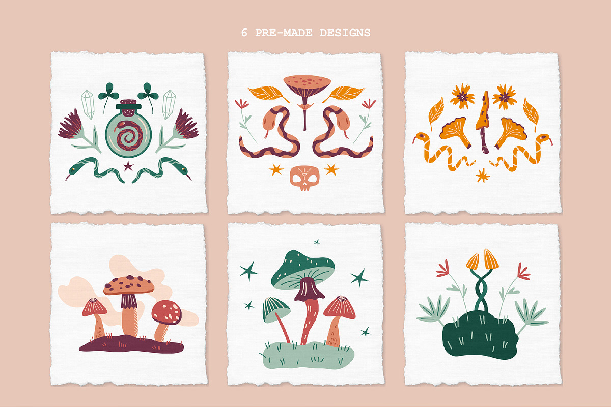 Mushrooms. Vector collection, an Illustration by katieromanoff_art (Photo 7 of 13)