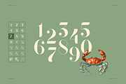 QUENTO | Modern Serif Display Font, a Serif Font by Glyph44 (Thumbnail 10 of 16)
