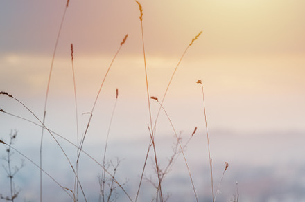 Beautiful abstract blurred nature ou stock photo containing wallpaper and, a Nature Photo by Rodica Ciorba