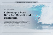 American Writer Vintage Font Duo, a Sans Serif Font by Parker Creative (Thumbnail 4 of 6)