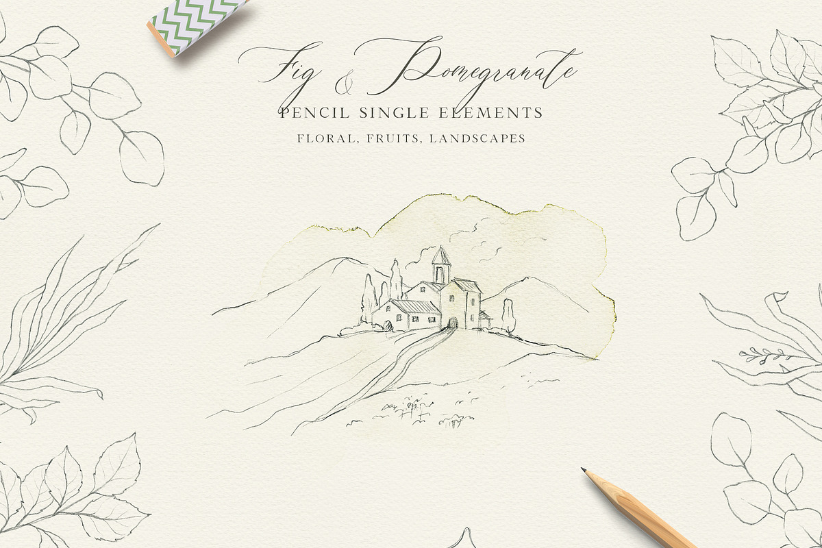FIG & POMEGRANATE watercolor/pencil, a Decorative Illustration by long summer (Photo 13 of 14)
