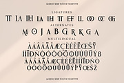 Monster Of Fantasy Modern Serif Font, a Serif Font by Storytype Studio (Thumbnail 13 of 15)