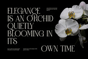 Paris Elegant Serif Font, a Serif Font by Perfectype (Thumbnail 5 of 8)