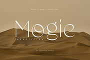 Noah - Elegant Ligature Font, a Serif Font by Sensatype (Thumbnail 10 of 19)