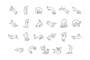 Dachshund Dash Pattern And Icons, a Pattern Graphic by Iconka (Thumbnail 6 of 9)