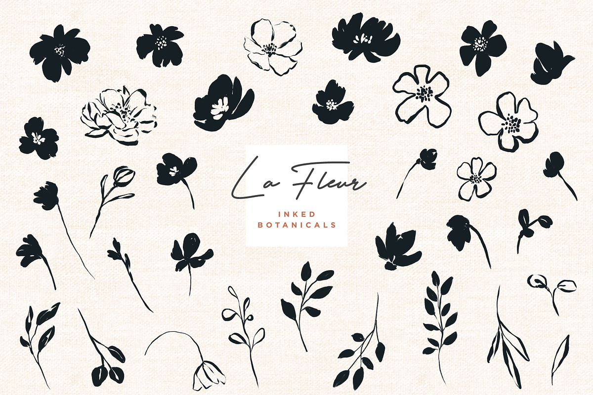 La Fleur - Modern Botanicals, an Illustration by Opal Creative (Photo 2 of 9)